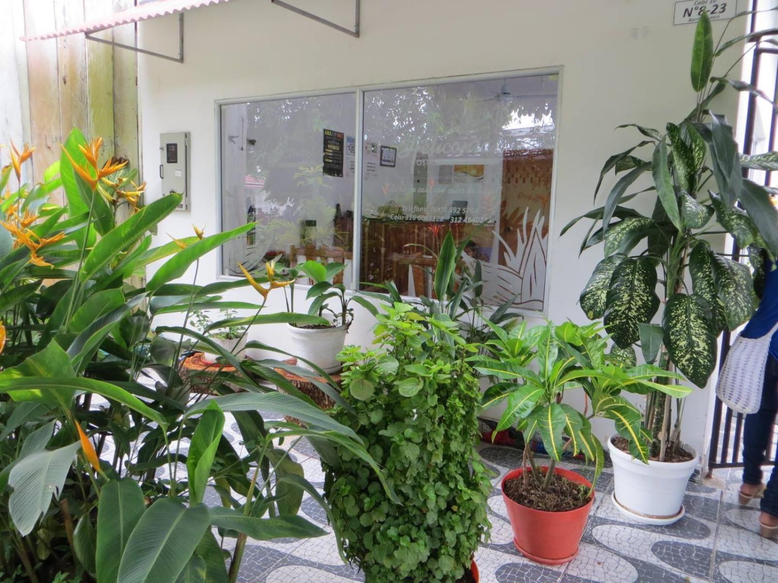 Hotel Heliconias 莱蒂西亚 外观 照片