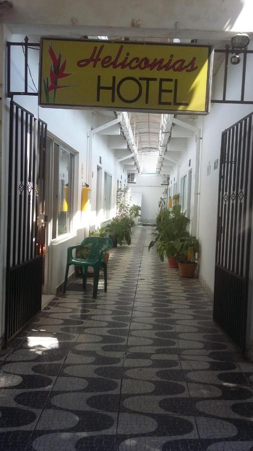 Hotel Heliconias 莱蒂西亚 外观 照片